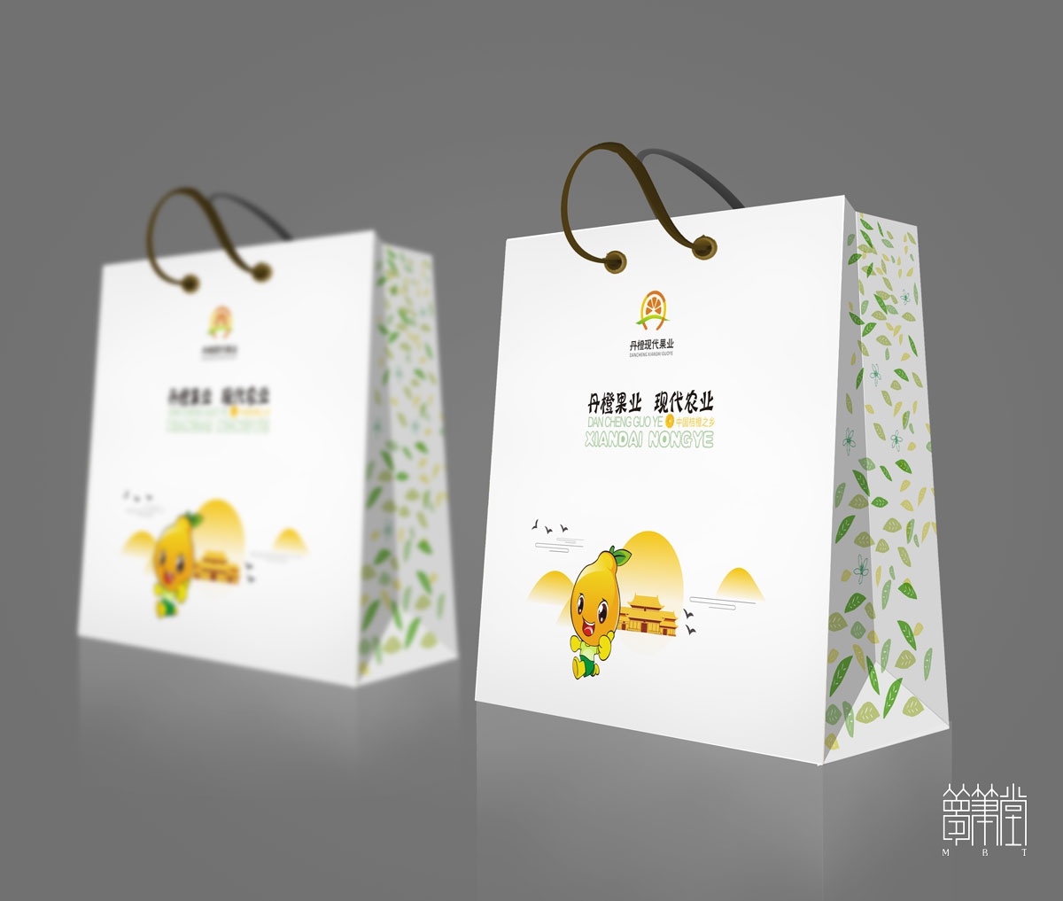 丹棱桔橙水果包装设计