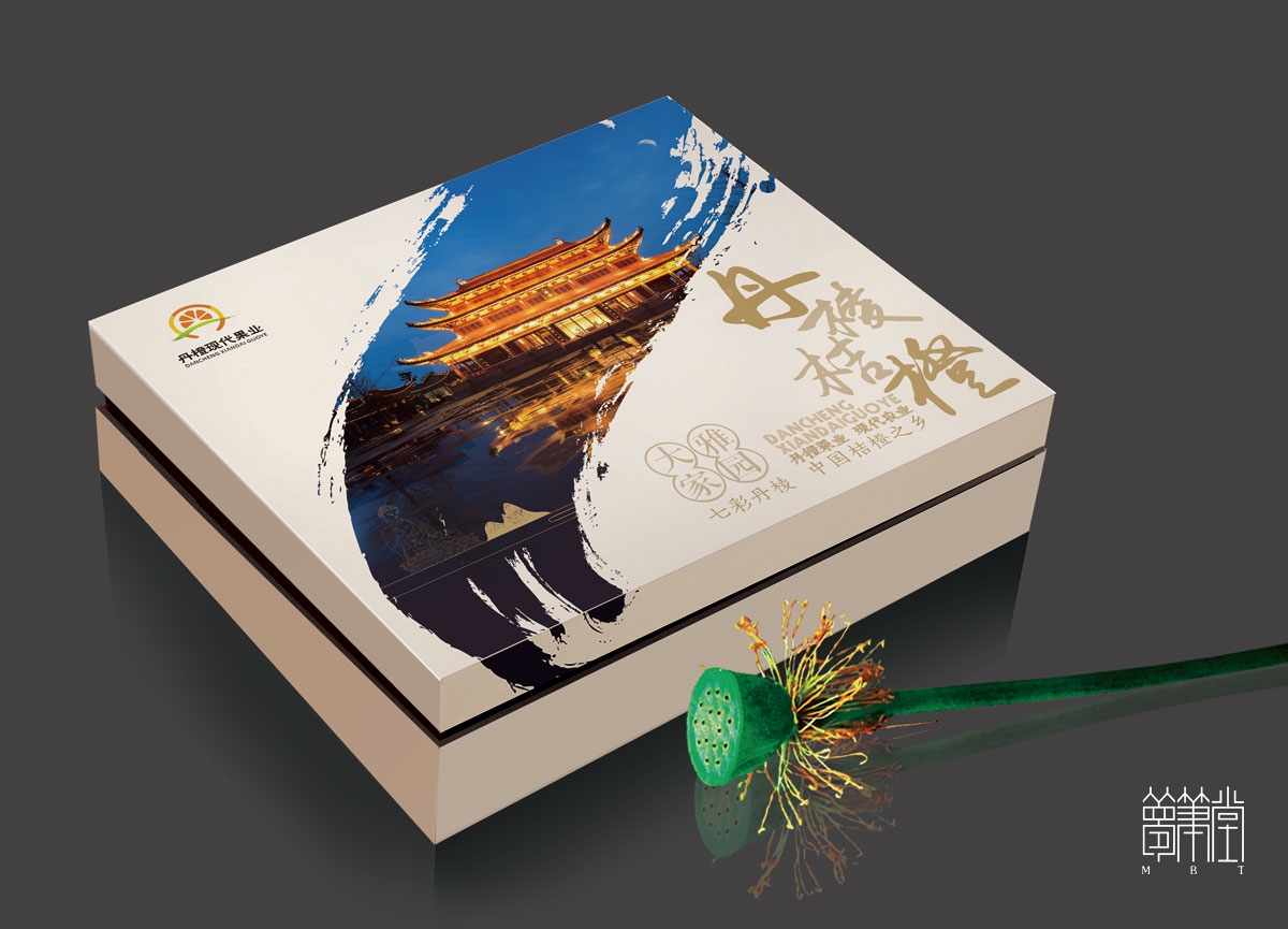 丹棱桔橙水果包装设计