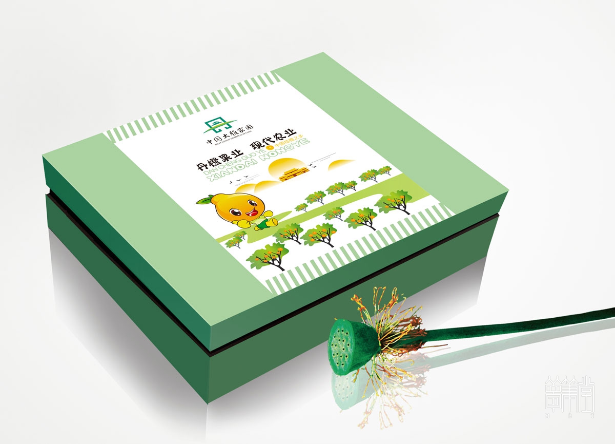 丹棱桔橙水果包装设计