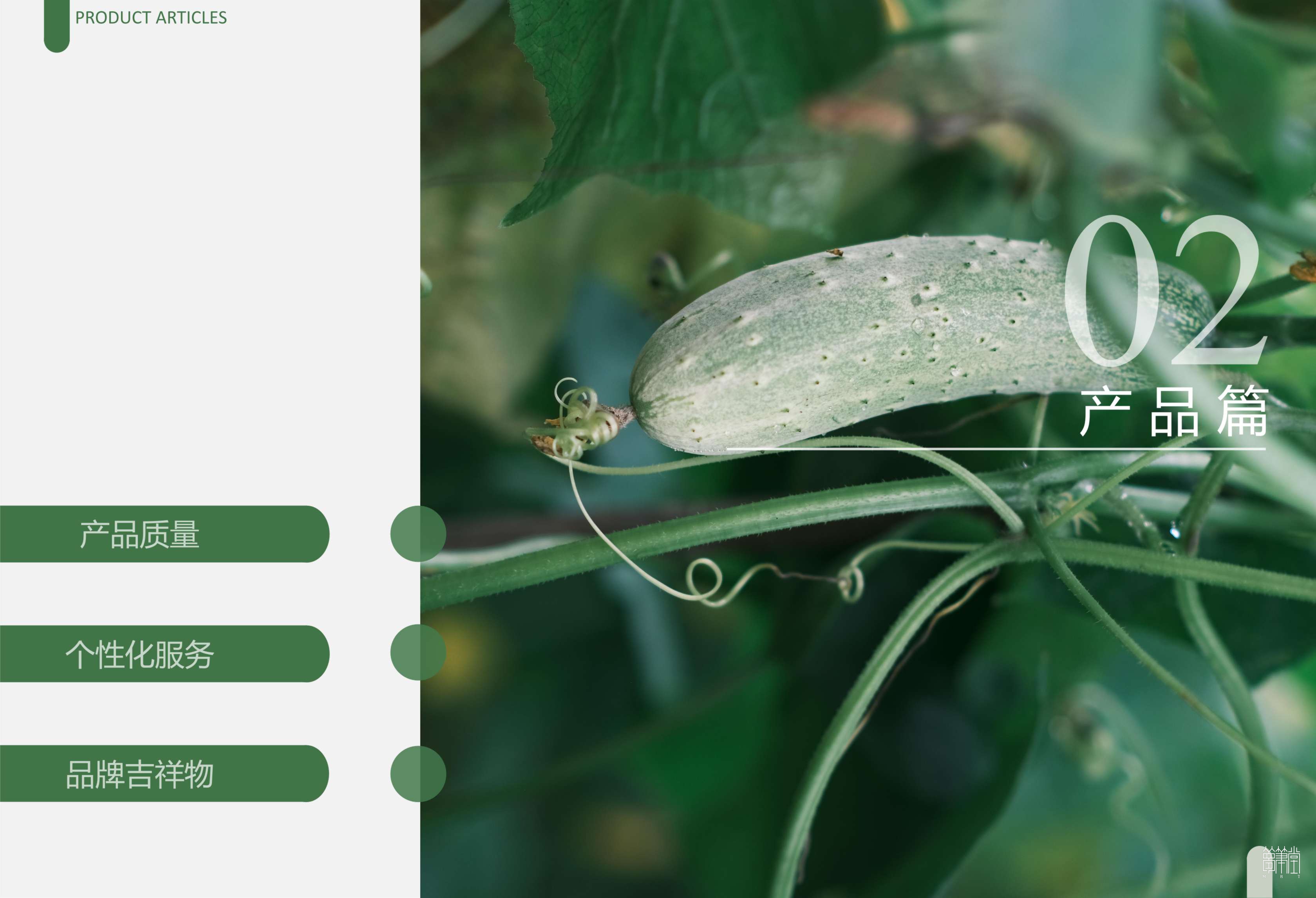 苍山稷农业科技